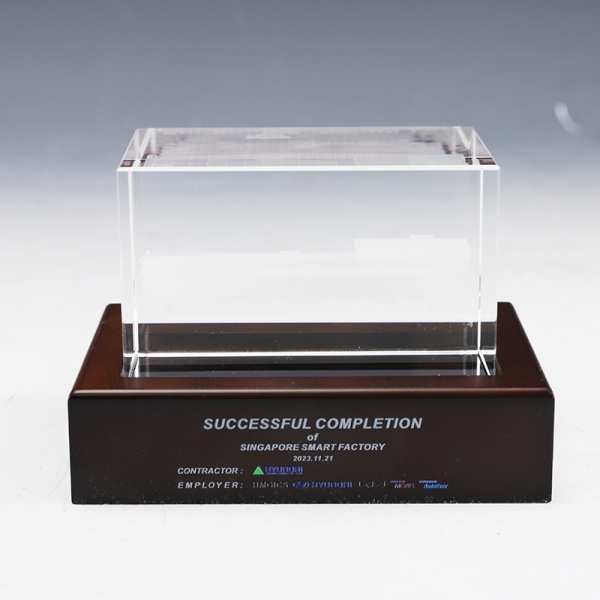 3D레이저 문진 HB-3779