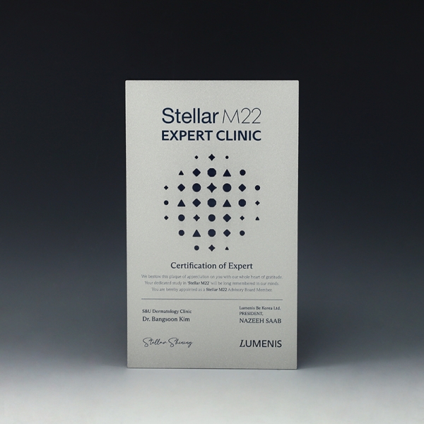 Stellar m22 인증패